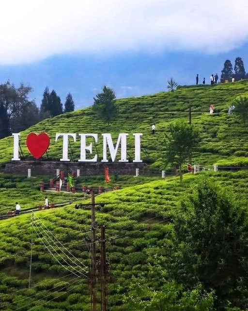 Temi Tea Garden